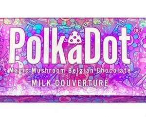 Polkadot chocolate bars